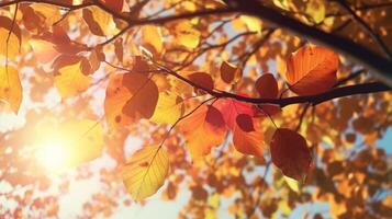 l'automne feuilles Contexte illustration ai génératif photo