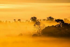 thung salaeng Luang nationale parc, le Soleil plus de le montagnes et vaste prairies, phetchabun province, Thaïlande photo