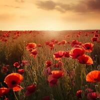 coquelicot fleur Contexte pour anzac journée. illustration ai génératif photo