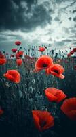 coquelicot fleur Contexte pour anzac journée. illustration ai génératif photo