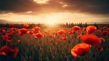 coquelicot fleur Contexte pour anzac journée. illustration ai génératif photo