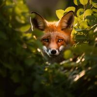 rouge Renard. illustration ai génératif photo