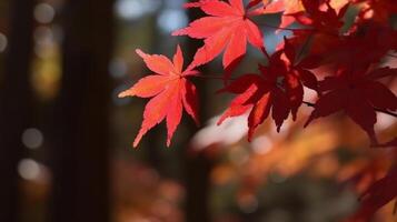 l'automne feuilles Contexte illustration ai génératif photo