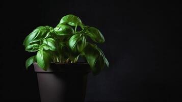 basilic feuilles dans fleur pot. illustration ai génératif photo