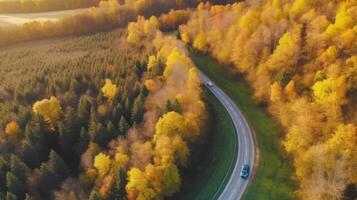 drone vue l'automne forêt route. illustration ai génératif photo