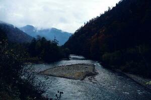haute forêt montagnes l'automne rivière magnifique paysage photo