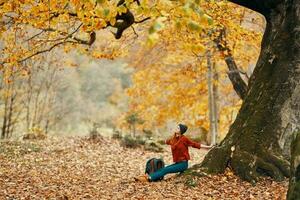 femme avec une sac à dos en dessous de une arbre dans le parc et chute feuilles l'automne paysage photo