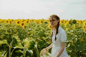 femme avec nattes des promenades par une champ de tournesols campagne photo