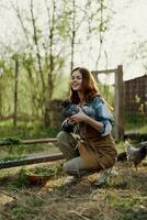 en plein air dans le la volaille stylo, une Jeune femme agriculteur alimente Frais vert herbe à Jeune pose les poules et sourit photo