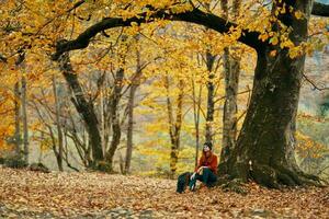 femme promeneur avec sac à dos est assis en dessous de une arbre dans l'automne forêt déchue feuilles paysage photo