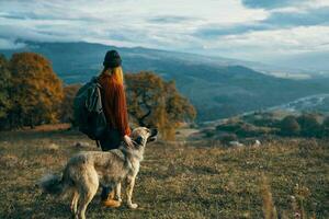 femme promeneur en marchant le chien dans le montagnes la nature Voyage paysage photo