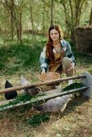 femme agriculteur sourit et verse nourriture pour le des oiseaux à le oiseau mangeoire à le poulet ferme photo