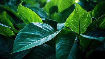 tropical feuilles Contexte. illustration ai génératif photo