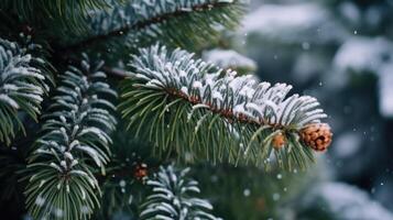 fermer de Noël pin arbre avec neige, illustration ai génératif photo