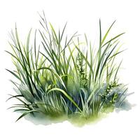 aquarelle vert herbe. illustration ai génératif photo