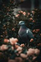 une magnifique pigeon.générer ai photo