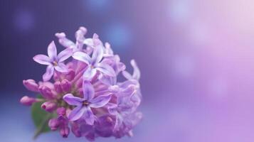 lilas fleur bokeh Contexte. illustration ai génératif photo