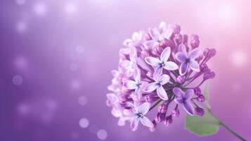 lilas fleur bokeh Contexte. illustration ai génératif photo