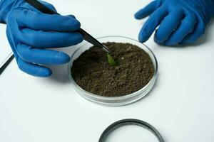 laboratoire recherche les plantes microbiologie science photo