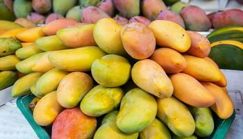 mangue fruit pendaison sur une arbre avec une rustique en bois table photo