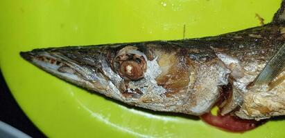 Fruit de mer plat servi sur le table et assiette de au dessus avec différent gentil de plat de frit poisson barracuda, vivaneau, thon mâchoires, et aussi mélanger de tropical des légumes photo