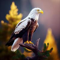 une blanc Aigle permanent sur Haut de une arbre, photoréalisme. génératif ai. numérique art illustration photo