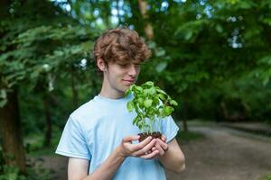 fermer image de une homme en portant semis. Masculin jardinier mains en portant une jeune arbre à serre. photo