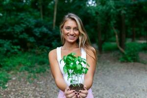fermer image de une femme mains en portant semis. femelle jardinier mains en portant une jeune arbre à serre. photo
