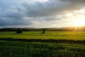 belle paysage et verdure de les terres agricoles avec Naturel le coucher du soleil dans vallée Montagne et destination de ensoleillement et nuage dans Thaïlande photo