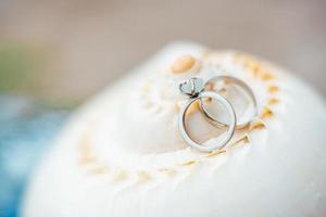 anneaux de mariage en or sur le coquillage