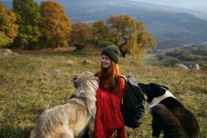 femme avec sac à dos dans la nature suivant à chien marcher relation amicale photo