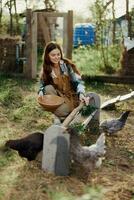 une femme travaux sur une ferme et alimente sa poulets en bonne santé nourriture, en mettant jeune, biologique herbe dans leur mangeoires à alimentation leur photo