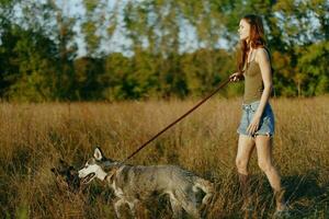 femme et sa rauque chien Heureusement en marchant et fonctionnement dans le herbe dans le champ sourire avec les dents l'automne le coucher du soleil marcher avec une animal de compagnie, en voyageant avec une ami chien bonheur photo