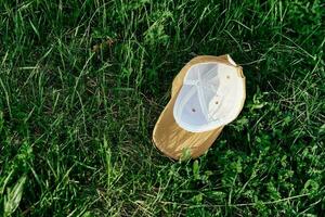 le des sports casquette mensonges sur le Frais vert herbe photo