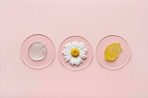 cosmétique des produits avec particules dans pétri plat sur rose Contexte. Naturel soin de la peau échantillons avec camomille photo