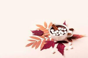 épais chaud Chocolat tasse avec guimauve sur l'automne feuilles photo