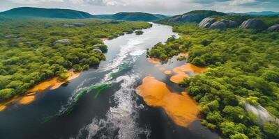 ai généré. ai génératif. photo réaliste illustration de Haut vue dron amazone rivière dans le pluie saison. aventure tropical explorer ambiance. graphique art