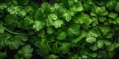 ai généré. ai génératif. vert éco biologique santé coriandre salade herbes. décoration santé mode de vie ambiance. graphique art photo