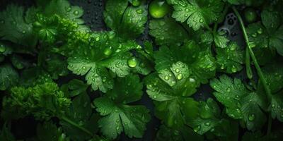 ai généré. ai génératif. vert éco biologique santé coriandre salade herbes. décoration santé mode de vie ambiance. graphique art photo