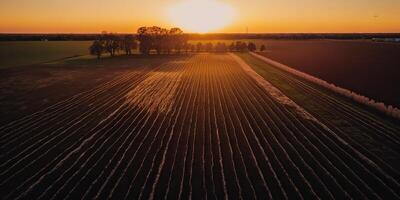 ai généré. ai génératif. photo réaliste illustration de sauvage campagne paysage Texas dans Amérique. agriculteur aventure sauvage mode de vie ambiance. graphique art