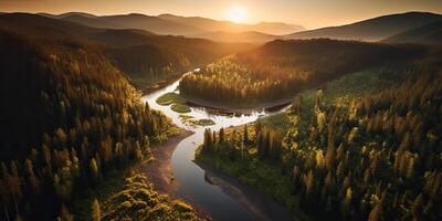 ai généré. ai génératif. aérien drone Haut haute coup photo illustration de vert forêt et rivière. le coucher du soleil aventure ambiance. graphique art