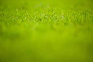 texture abstraite et fond de prairie d'herbe et champ avec zone de mise au point sélective photo