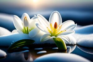 magnifique blanc lis fleur avec l'eau gouttes sur bleu Contexte. génératif ai photo