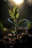 Jeune plante avec l'eau gouttes, établi avec génératif ai photo