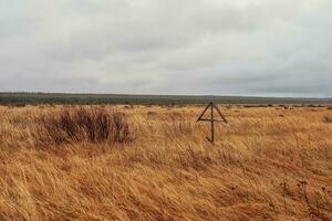 en bois traverser dans le steppe. vieux russe poméranien village. photo