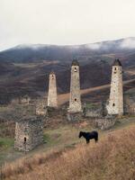 fier noir cheval contre le Contexte de ancien bataille tours dans ingouchie. médiéval la tour complexe Erzi, un de le le plus grand médiéval de type château la tour villages. photo