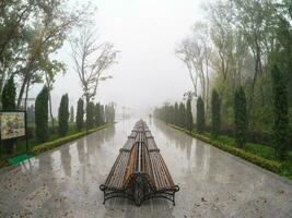 humide pluvieux temps dans une moderne parc. le bancs sont mis dans une ligne. magnifique humide et brumeux digue. brumeux pluvieux l'automne paysage avec parc dans Jeleznovodsk. Russie. photo