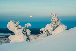 plein du froid lune plus de une couvert de neige hiver pente. hiver polaire nuit paysage. du froid hiver temps. dur nord climat. photo