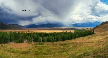 spectaculaire l'automne steppe paysage. steppe sur le Contexte de mo photo