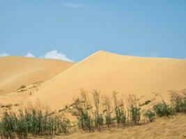 grand le sable dune contre le bleu ciel. photo